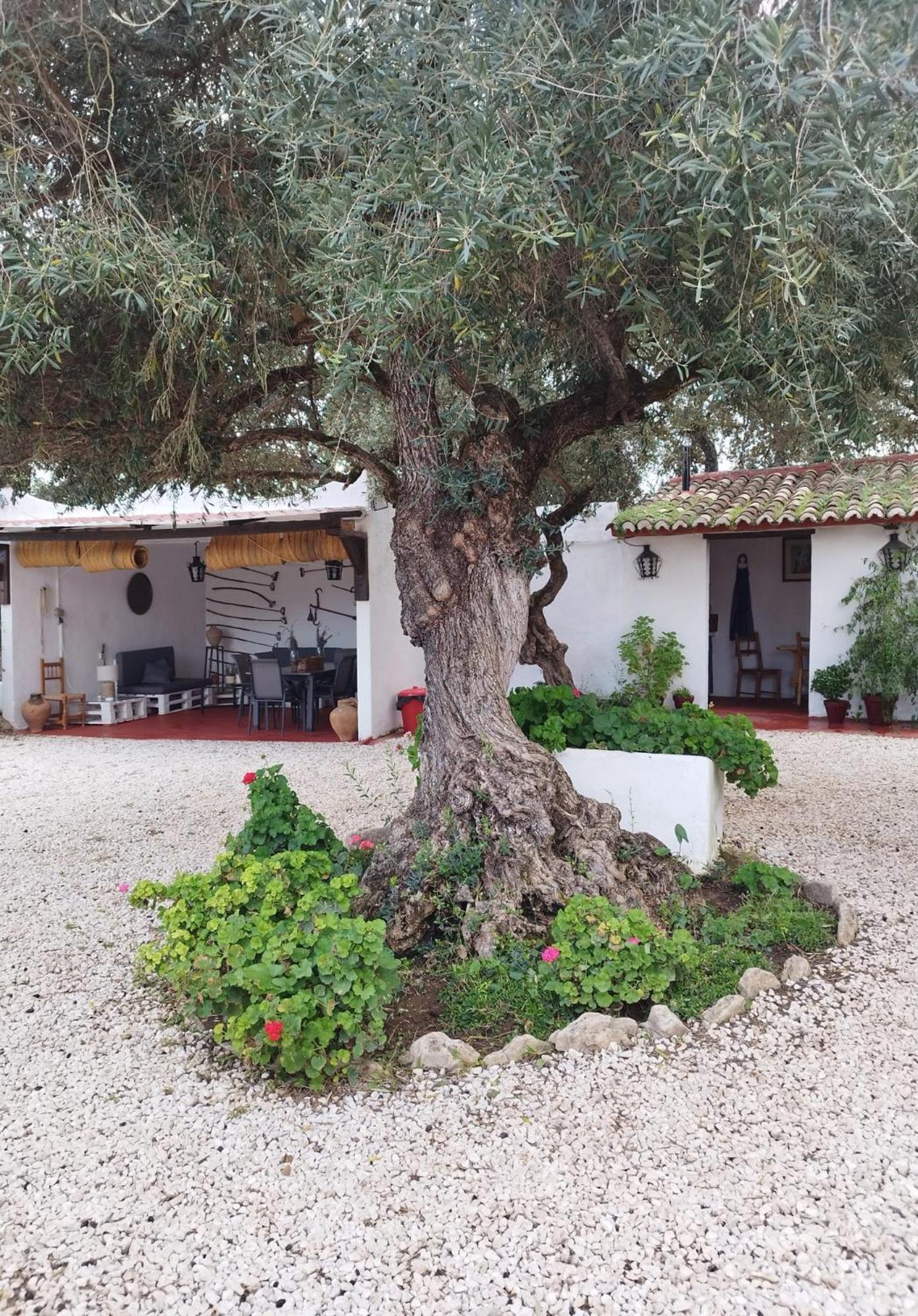 Casa Abanto Villa Ronda Ngoại thất bức ảnh